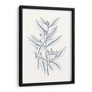 Indigo Botany Study V - Vision Studio | Cuadro decorativo de Canvas Lab