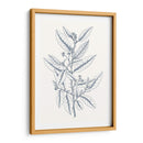 Indigo Botany Study V - Vision Studio | Cuadro decorativo de Canvas Lab