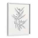 Indigo Botany Study V - Vision Studio | Cuadro decorativo de Canvas Lab