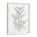 Indigo Botany Study V - Vision Studio | Cuadro decorativo de Canvas Lab