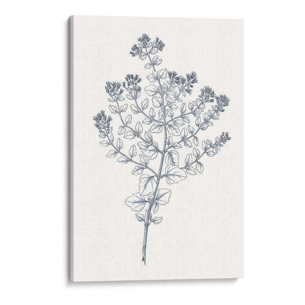 Indigo Botany Study Vi - Vision Studio | Cuadro decorativo de Canvas Lab