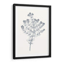 Indigo Botany Study Vi - Vision Studio | Cuadro decorativo de Canvas Lab