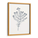 Indigo Botany Study Vi - Vision Studio | Cuadro decorativo de Canvas Lab