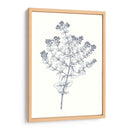 Indigo Botany Study Vi - Vision Studio | Cuadro decorativo de Canvas Lab