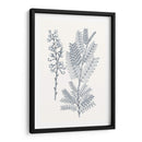 Indigo Botany Study Vii - Vision Studio | Cuadro decorativo de Canvas Lab