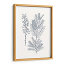 Indigo Botany Study Vii - Vision Studio | Cuadro decorativo de Canvas Lab