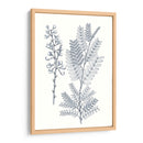 Indigo Botany Study Vii - Vision Studio | Cuadro decorativo de Canvas Lab
