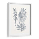 Indigo Botany Study Vii - Vision Studio | Cuadro decorativo de Canvas Lab