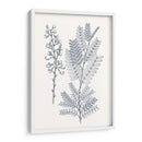 Indigo Botany Study Vii - Vision Studio | Cuadro decorativo de Canvas Lab