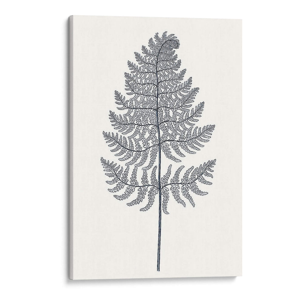 Indigo Botany Study Viii - Vision Studio | Cuadro decorativo de Canvas Lab
