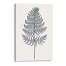 Indigo Botany Study Viii - Vision Studio | Cuadro decorativo de Canvas Lab