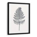 Indigo Botany Study Viii - Vision Studio | Cuadro decorativo de Canvas Lab