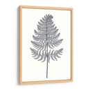 Indigo Botany Study Viii - Vision Studio | Cuadro decorativo de Canvas Lab