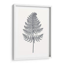 Indigo Botany Study Viii - Vision Studio | Cuadro decorativo de Canvas Lab