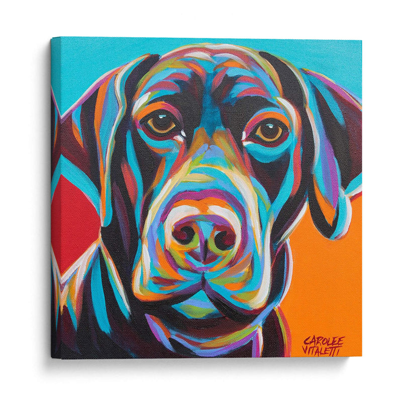 Perro Amigo Ii - Carolee Vitaletti | Cuadro decorativo de Canvas Lab