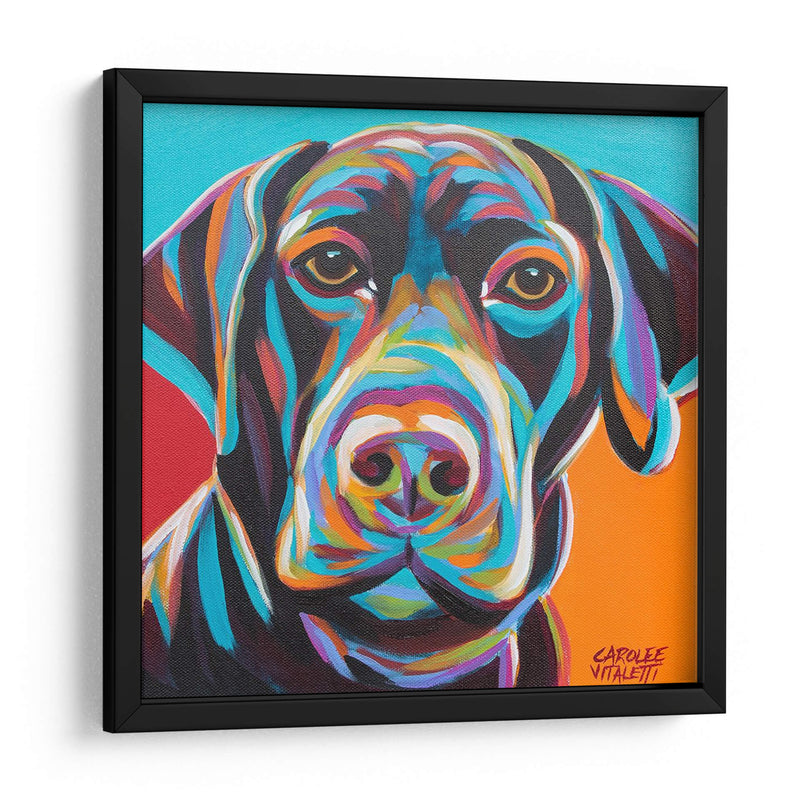 Perro Amigo Ii - Carolee Vitaletti | Cuadro decorativo de Canvas Lab