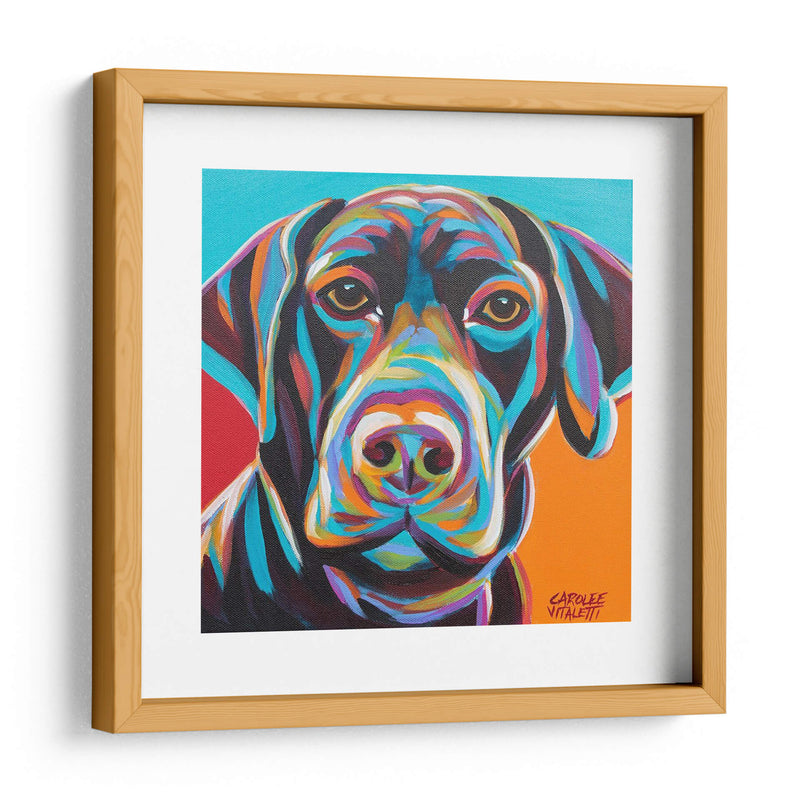 Perro Amigo Ii - Carolee Vitaletti | Cuadro decorativo de Canvas Lab