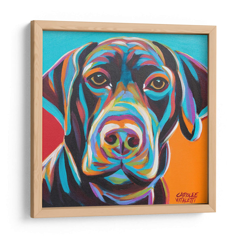 Perro Amigo Ii - Carolee Vitaletti | Cuadro decorativo de Canvas Lab