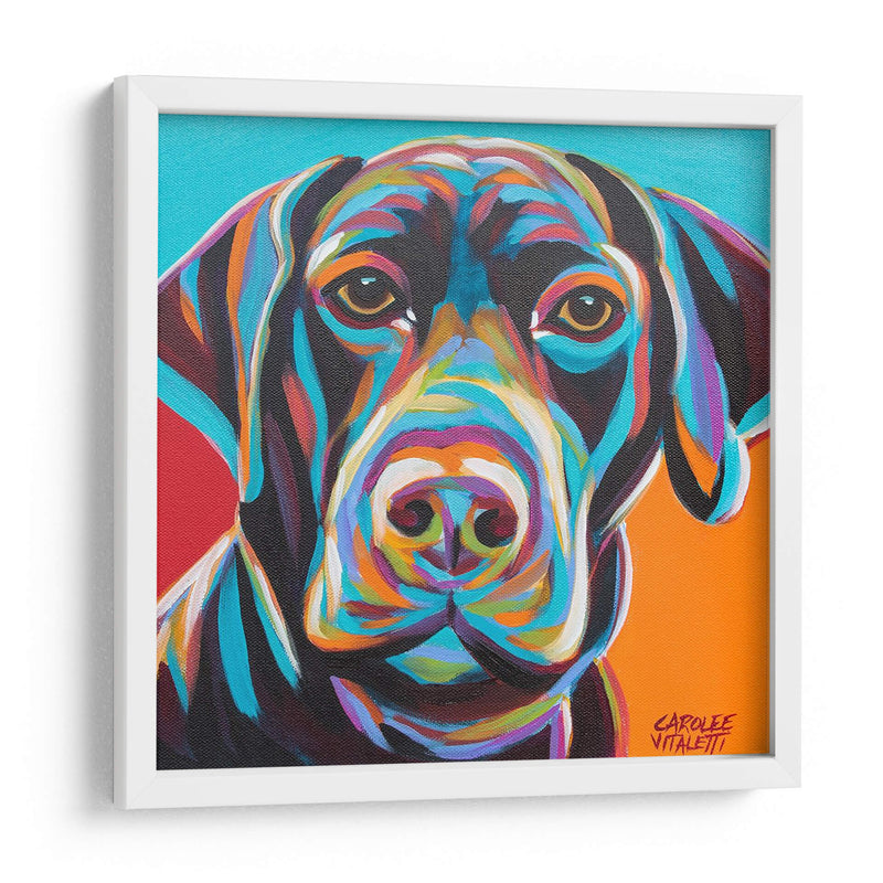 Perro Amigo Ii - Carolee Vitaletti | Cuadro decorativo de Canvas Lab