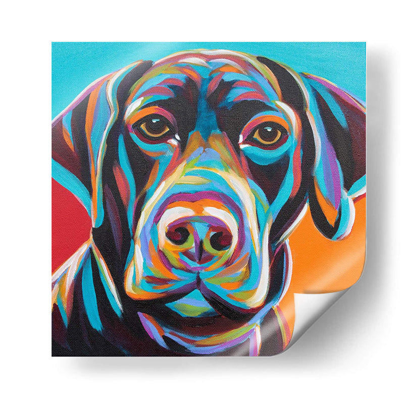 Perro Amigo Ii - Carolee Vitaletti | Cuadro decorativo de Canvas Lab