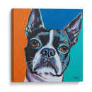 Amigo Amigo Iii - Carolee Vitaletti | Cuadro decorativo de Canvas Lab