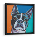 Amigo Amigo Iii - Carolee Vitaletti | Cuadro decorativo de Canvas Lab