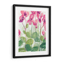 Cyclamen Fantasia Ii - June Erica Vess | Cuadro decorativo de Canvas Lab