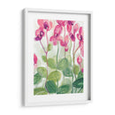 Cyclamen Fantasia Ii - June Erica Vess | Cuadro decorativo de Canvas Lab