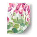 Cyclamen Fantasia Ii - June Erica Vess | Cuadro decorativo de Canvas Lab