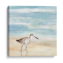Speckled Willet I - Victoria Borges | Cuadro decorativo de Canvas Lab