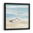 Speckled Willet I - Victoria Borges | Cuadro decorativo de Canvas Lab