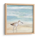 Speckled Willet I - Victoria Borges | Cuadro decorativo de Canvas Lab