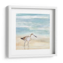 Speckled Willet I - Victoria Borges | Cuadro decorativo de Canvas Lab