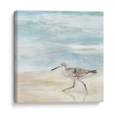 Speckled Willet Ii - Victoria Borges | Cuadro decorativo de Canvas Lab