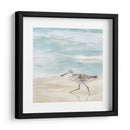 Speckled Willet Ii - Victoria Borges | Cuadro decorativo de Canvas Lab