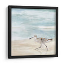 Speckled Willet Ii - Victoria Borges | Cuadro decorativo de Canvas Lab
