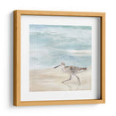 Speckled Willet Ii - Victoria Borges | Cuadro decorativo de Canvas Lab
