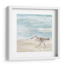 Speckled Willet Ii - Victoria Borges | Cuadro decorativo de Canvas Lab