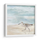 Speckled Willet Ii - Victoria Borges | Cuadro decorativo de Canvas Lab