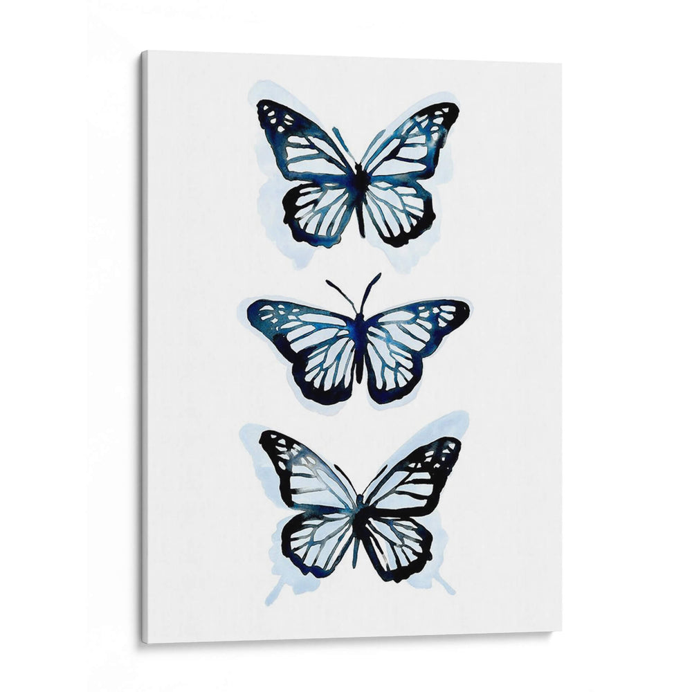Blue Butterfly Trio I - Emma Scarvey | Cuadro decorativo de Canvas Lab