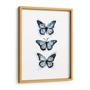 Blue Butterfly Trio I - Emma Scarvey | Cuadro decorativo de Canvas Lab