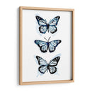 Blue Butterfly Trio I - Emma Scarvey | Cuadro decorativo de Canvas Lab