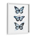 Blue Butterfly Trio I - Emma Scarvey | Cuadro decorativo de Canvas Lab