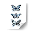 Blue Butterfly Trio I - Emma Scarvey | Cuadro decorativo de Canvas Lab