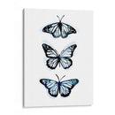 Blue Butterfly Trio Ii - Emma Scarvey | Cuadro decorativo de Canvas Lab
