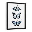 Blue Butterfly Trio Ii - Emma Scarvey | Cuadro decorativo de Canvas Lab