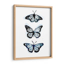Blue Butterfly Trio Ii - Emma Scarvey | Cuadro decorativo de Canvas Lab