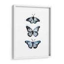 Blue Butterfly Trio Ii - Emma Scarvey | Cuadro decorativo de Canvas Lab