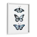 Blue Butterfly Trio Ii - Emma Scarvey | Cuadro decorativo de Canvas Lab