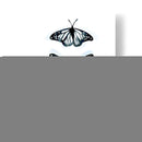 Blue Butterfly Trio Ii - Emma Scarvey | Cuadro decorativo de Canvas Lab